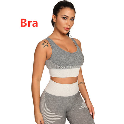 Yoga Set 2 Piece Women Tracksuit Fitness Suit Bra